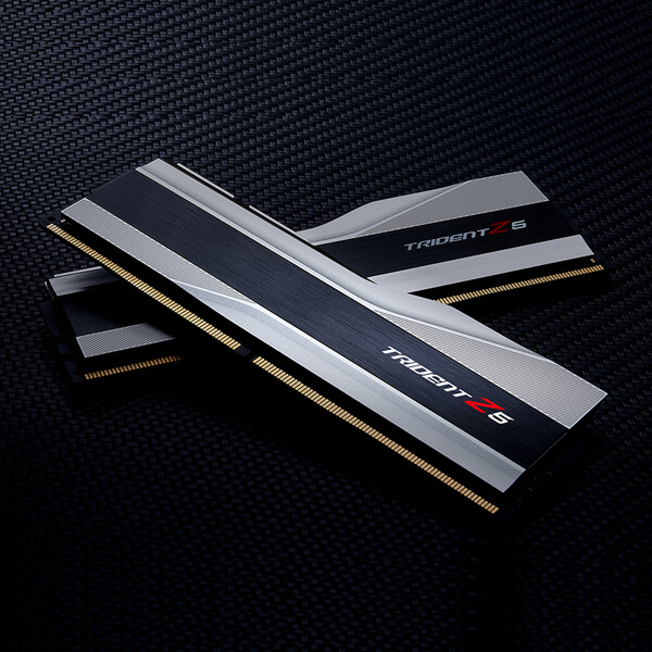 G.Skill Trident Z5 32GB (16GBx2) DDR5 5600MHz RAM (Metallic Silver)